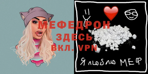 spice Богородицк