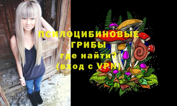 2c-b Богданович