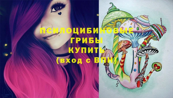 spice Богородицк