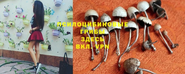 2c-b Богданович