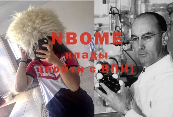 spice Богородицк