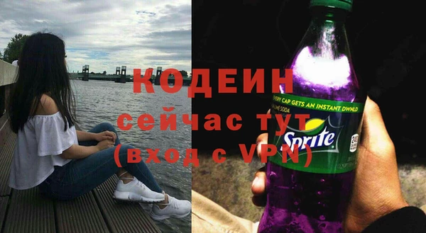 spice Богородицк
