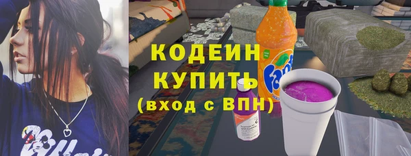spice Богородицк