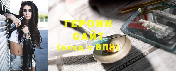 spice Богородицк