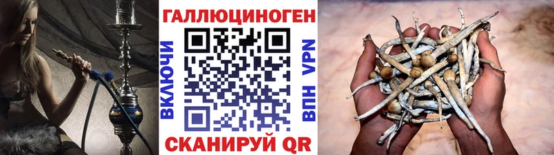 MEGA ТОР  купить  цена  Симферополь  Галлюциногенные грибы Psilocybine cubensis 
